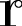 Polygon