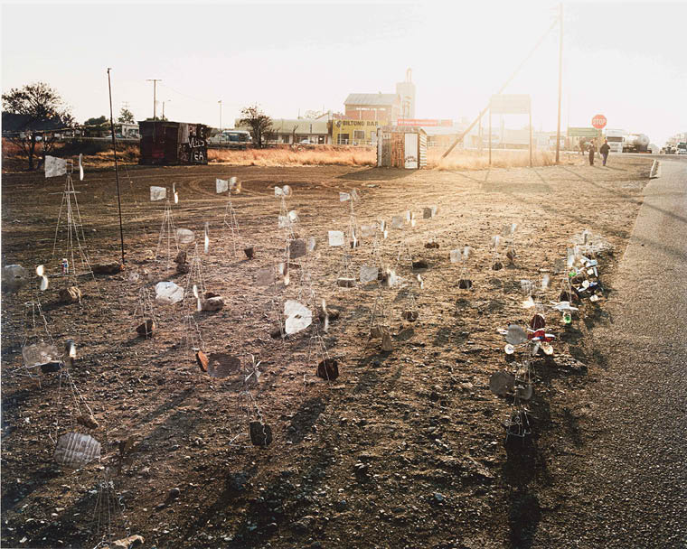 A field of dirt with many small plants and a few bottles scattered around. Description generated by AI