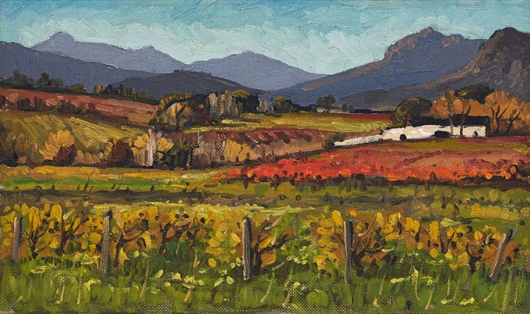 Paarl Vineyards by David Botha | Strauss & Co