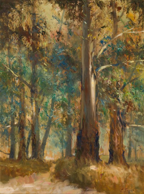 Bluegum Forest by Christopher Tugwell | Strauss & Co