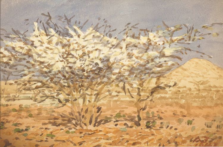 Adolph Jentsch; Arid Landscape with Acacia trees in Bloom