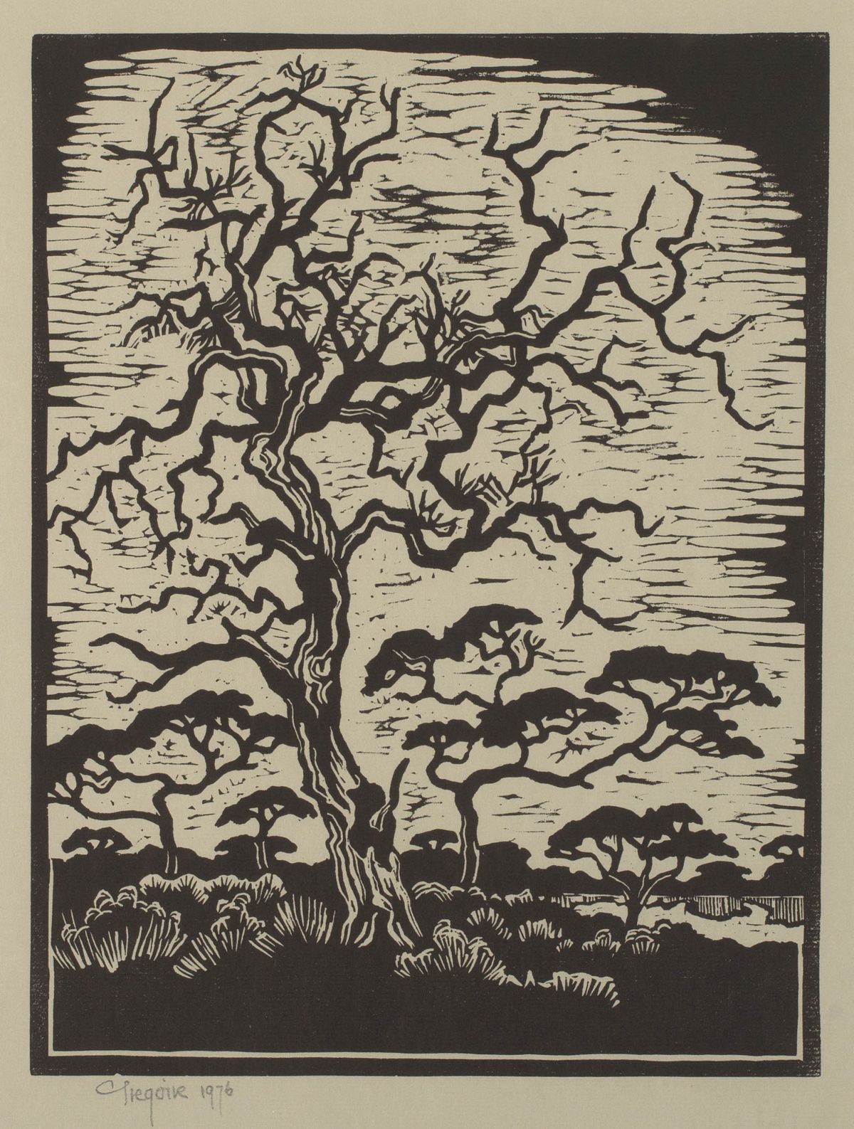 Gregoire Boonzaier; Hardekool Tree