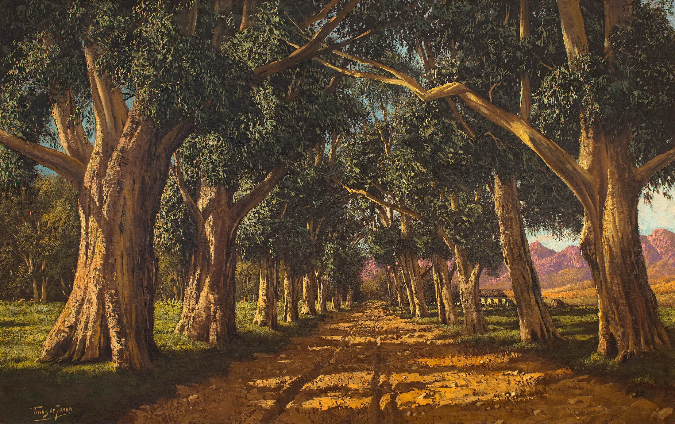 Tinus de Jongh; An Avenue of Gumtrees