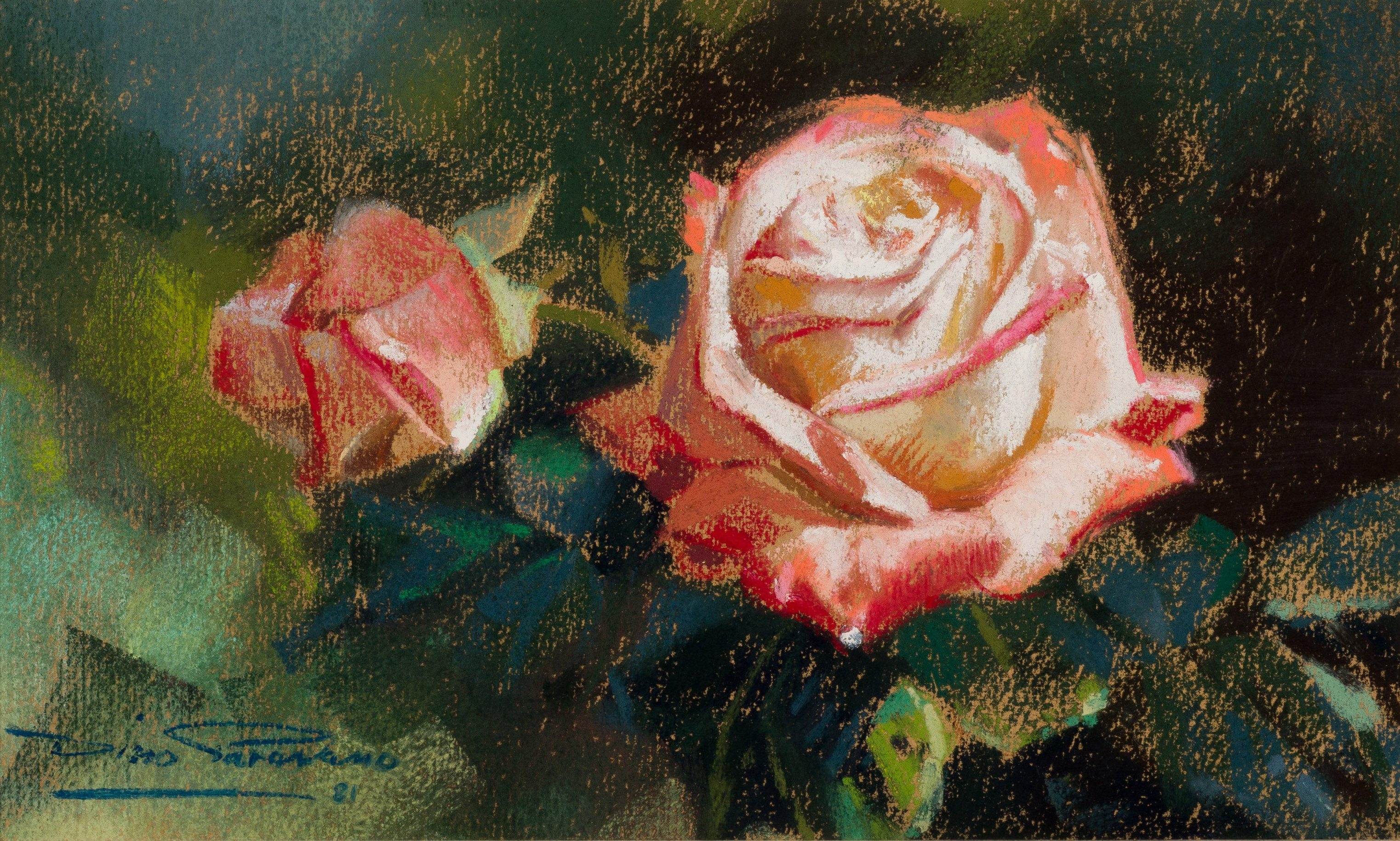 Dino Paravano; Roses