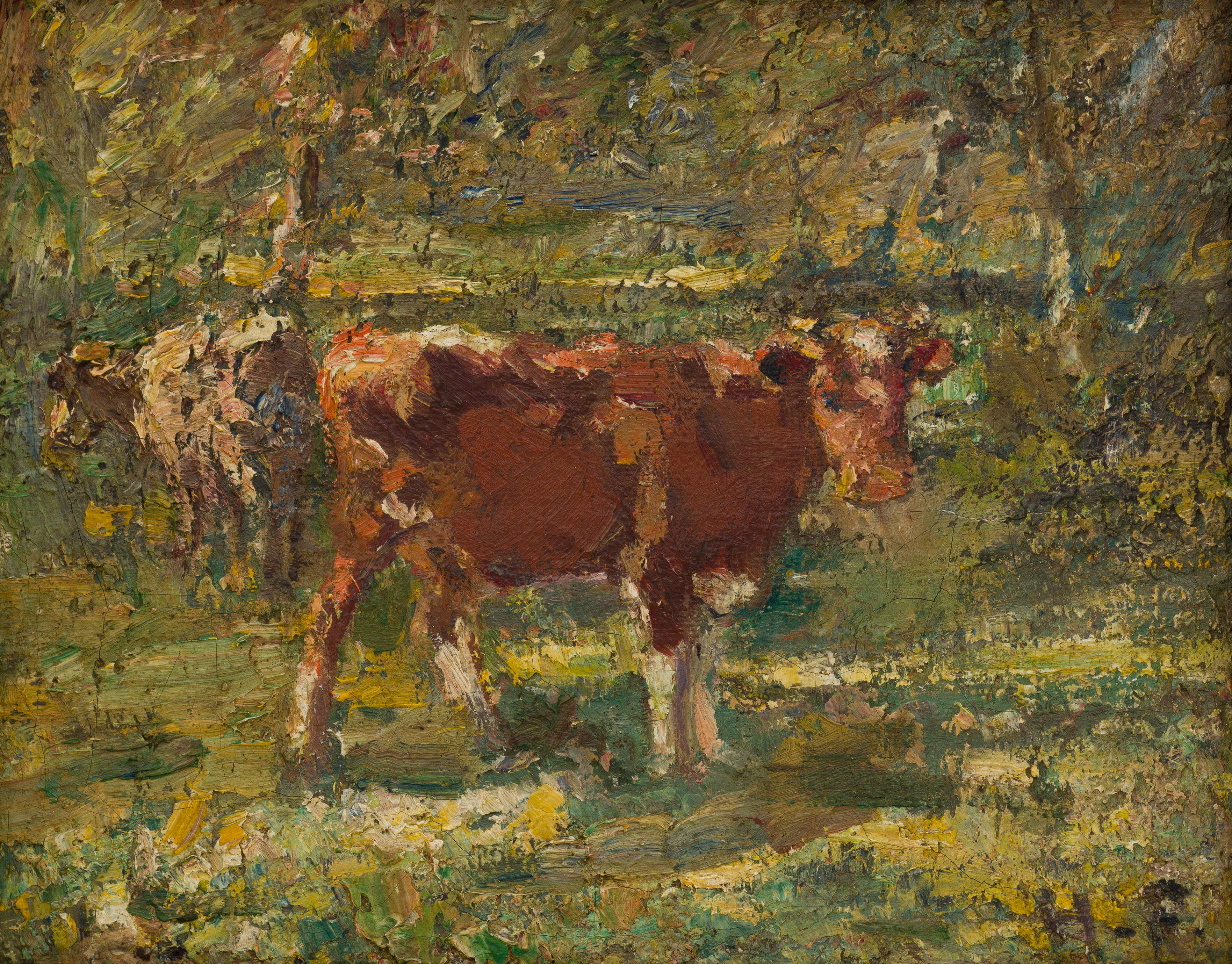 Harry Fidler; Cows