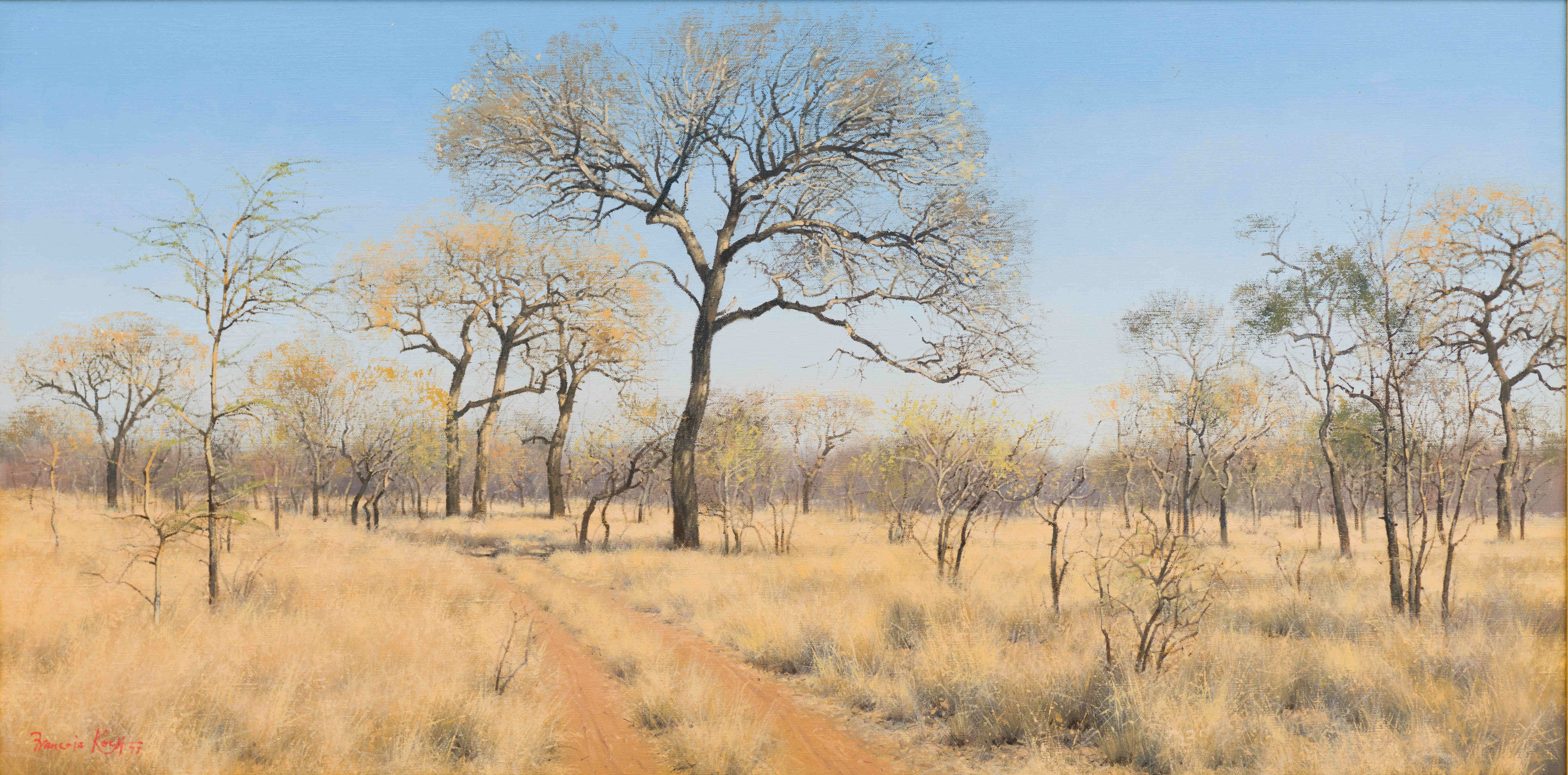 Francois Koch; Bushveld Scene