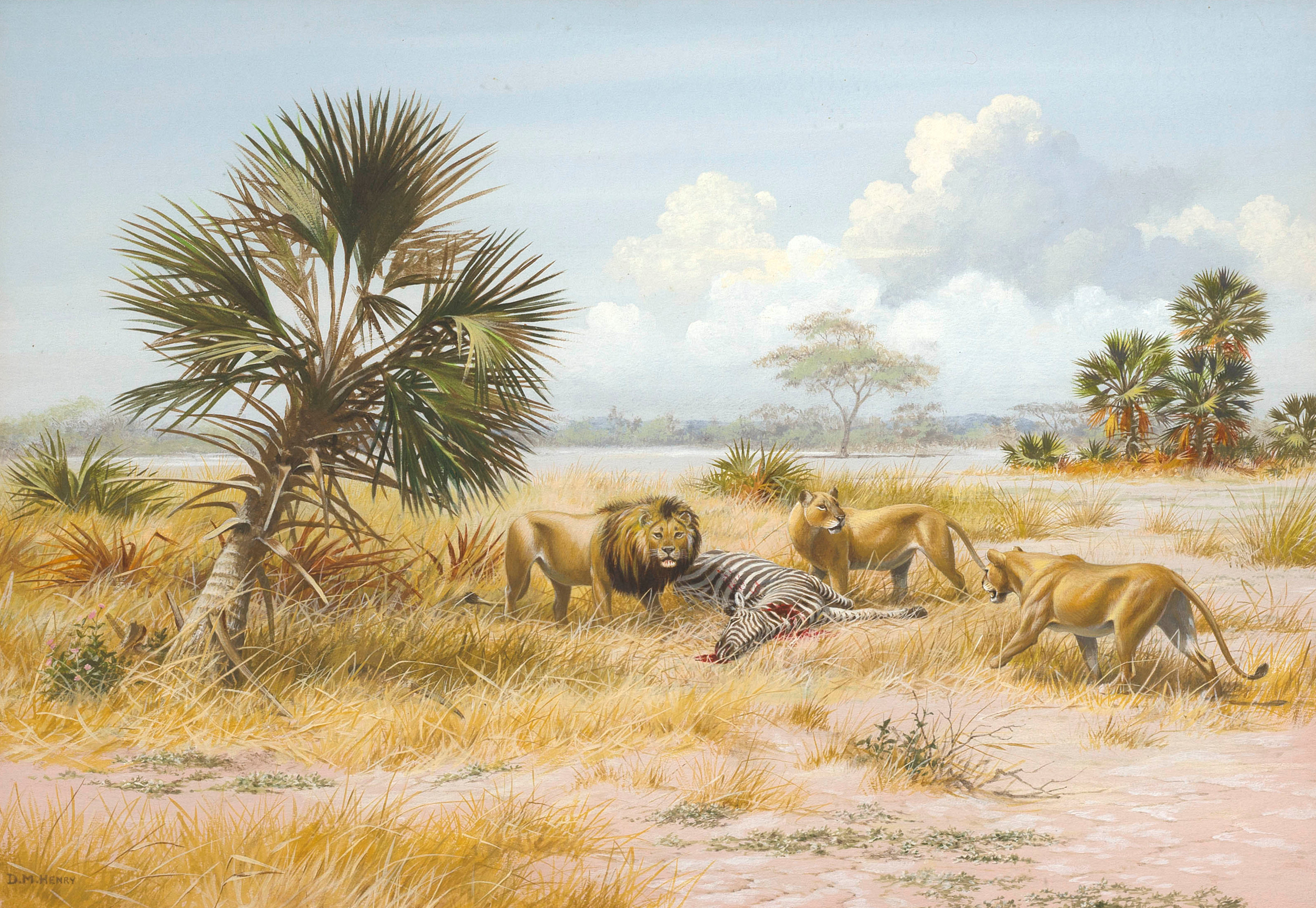 David Morrison Reid Henry; Lions in Gorongoza