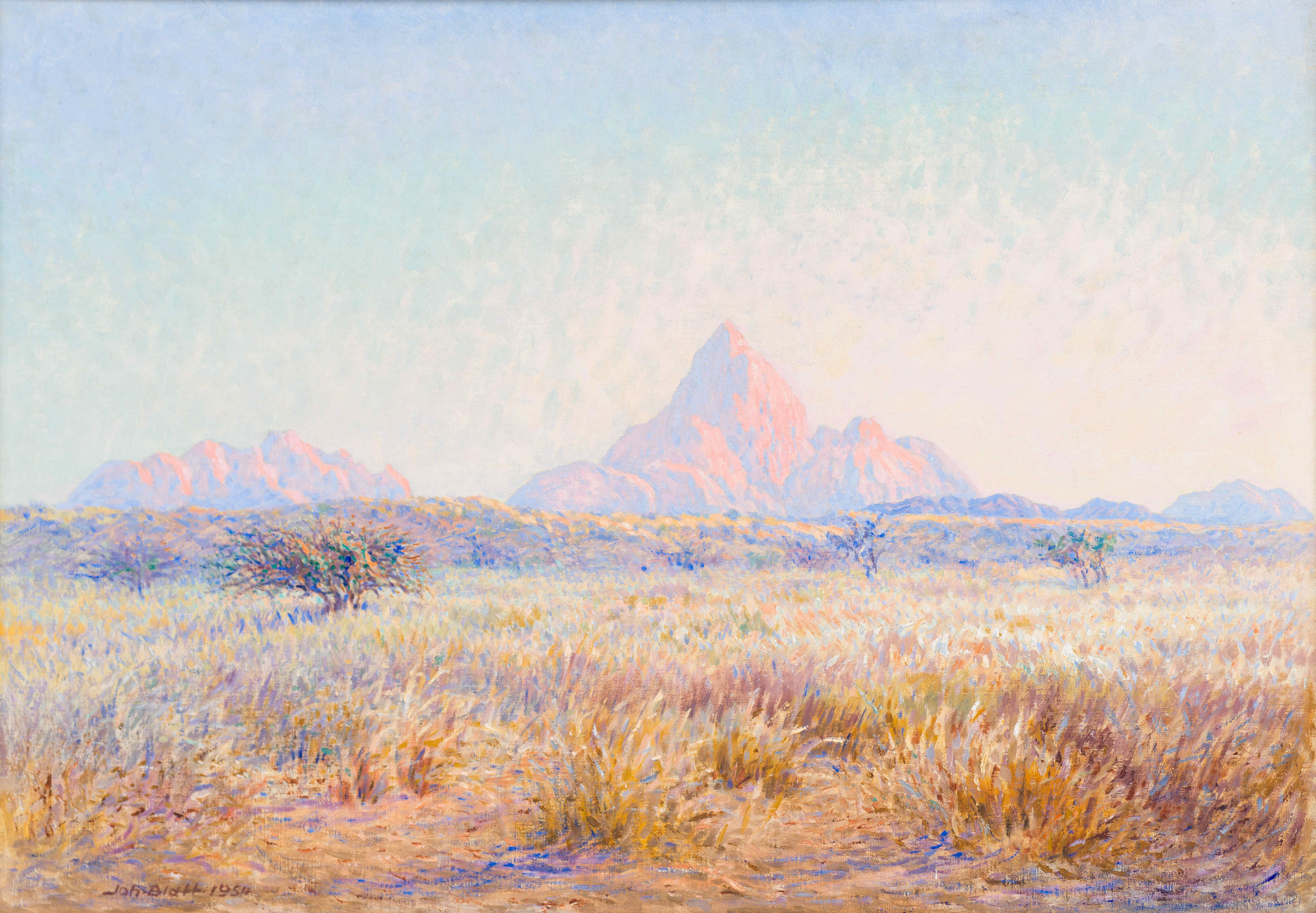 Johannes Blatt; Gross Spitzkoppie Nordseite: Namib – Aristida Gras Breite, SWA