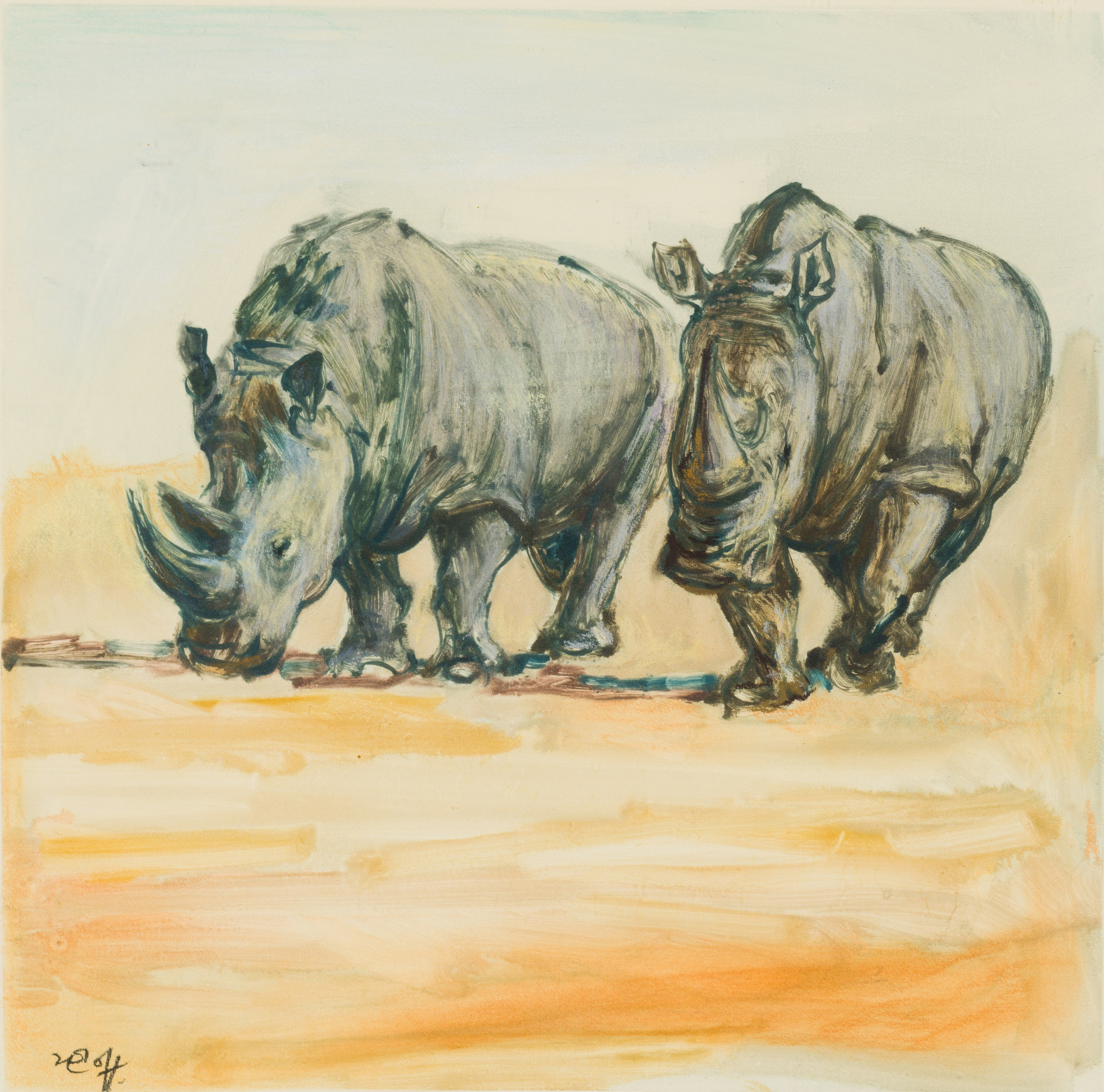 Zakkie Eloff; Rhinos