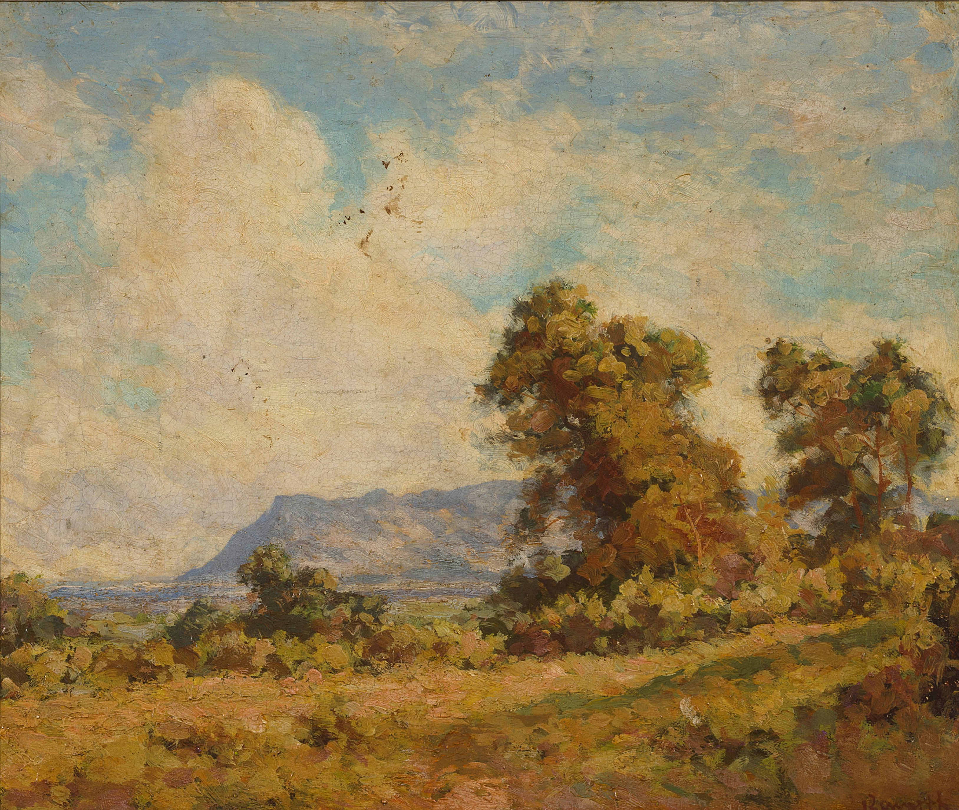 Edward Roworth; A View of Constantia