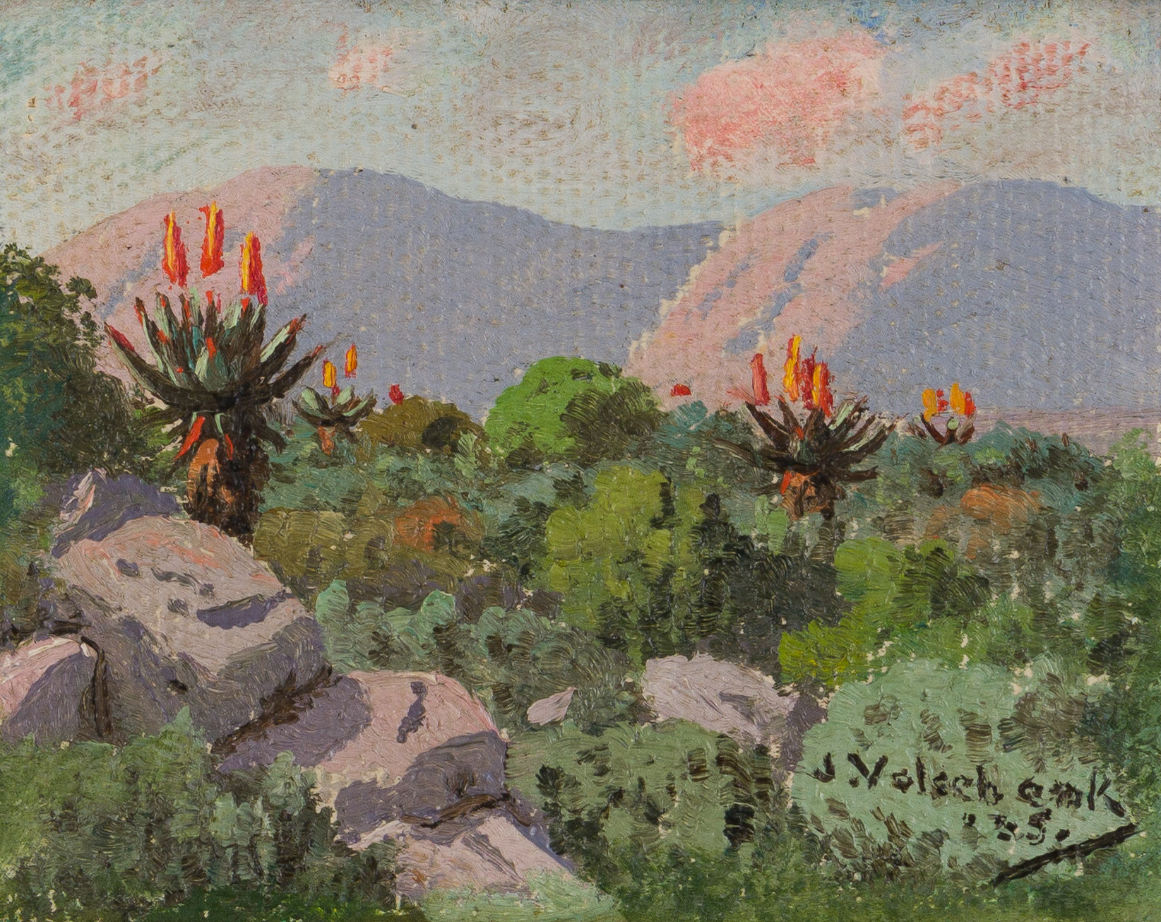 Jan Ernst Abraham Volschenk; Mountain Aloes