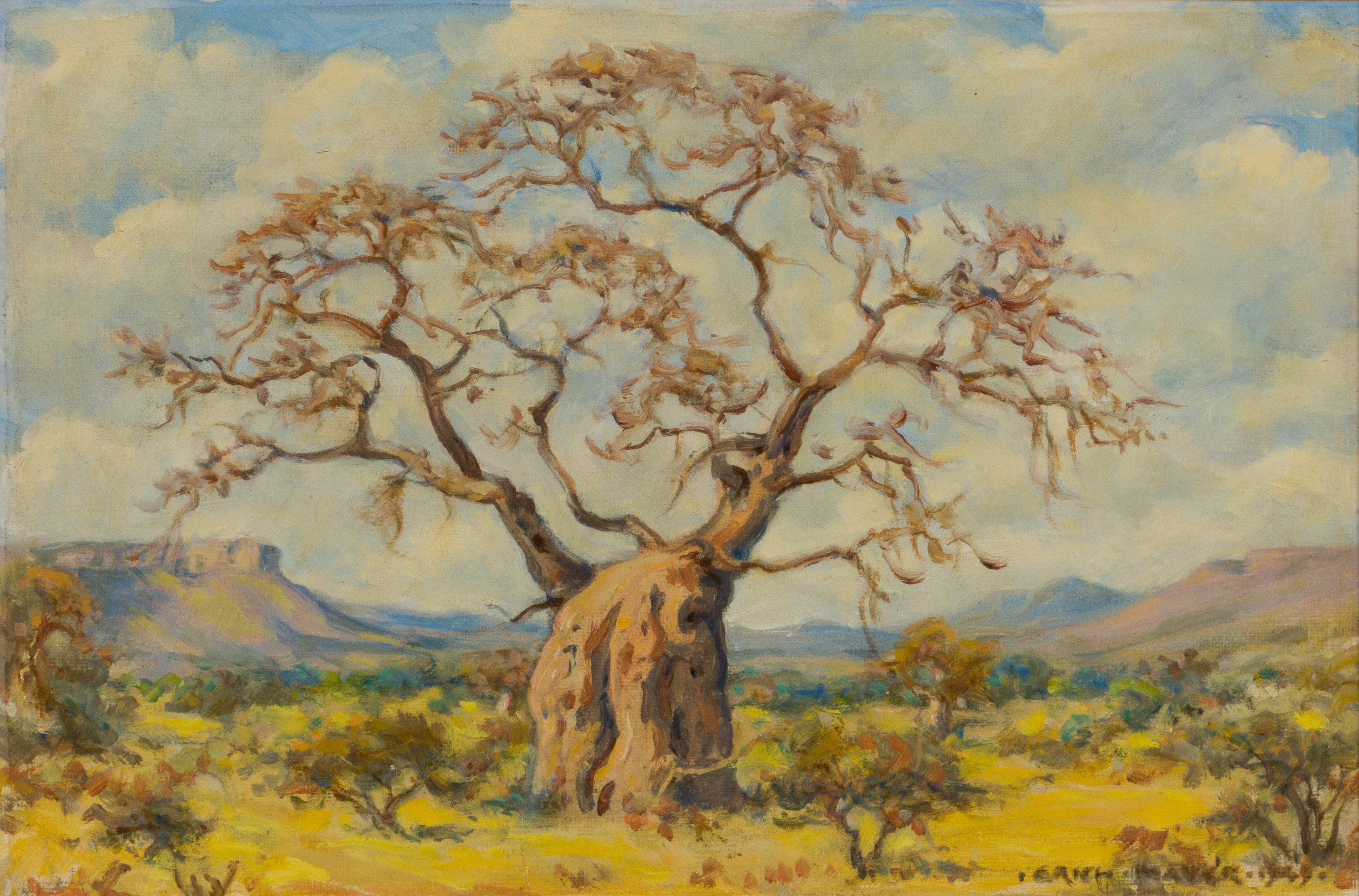 Erich Mayer; Landscape with Baobab