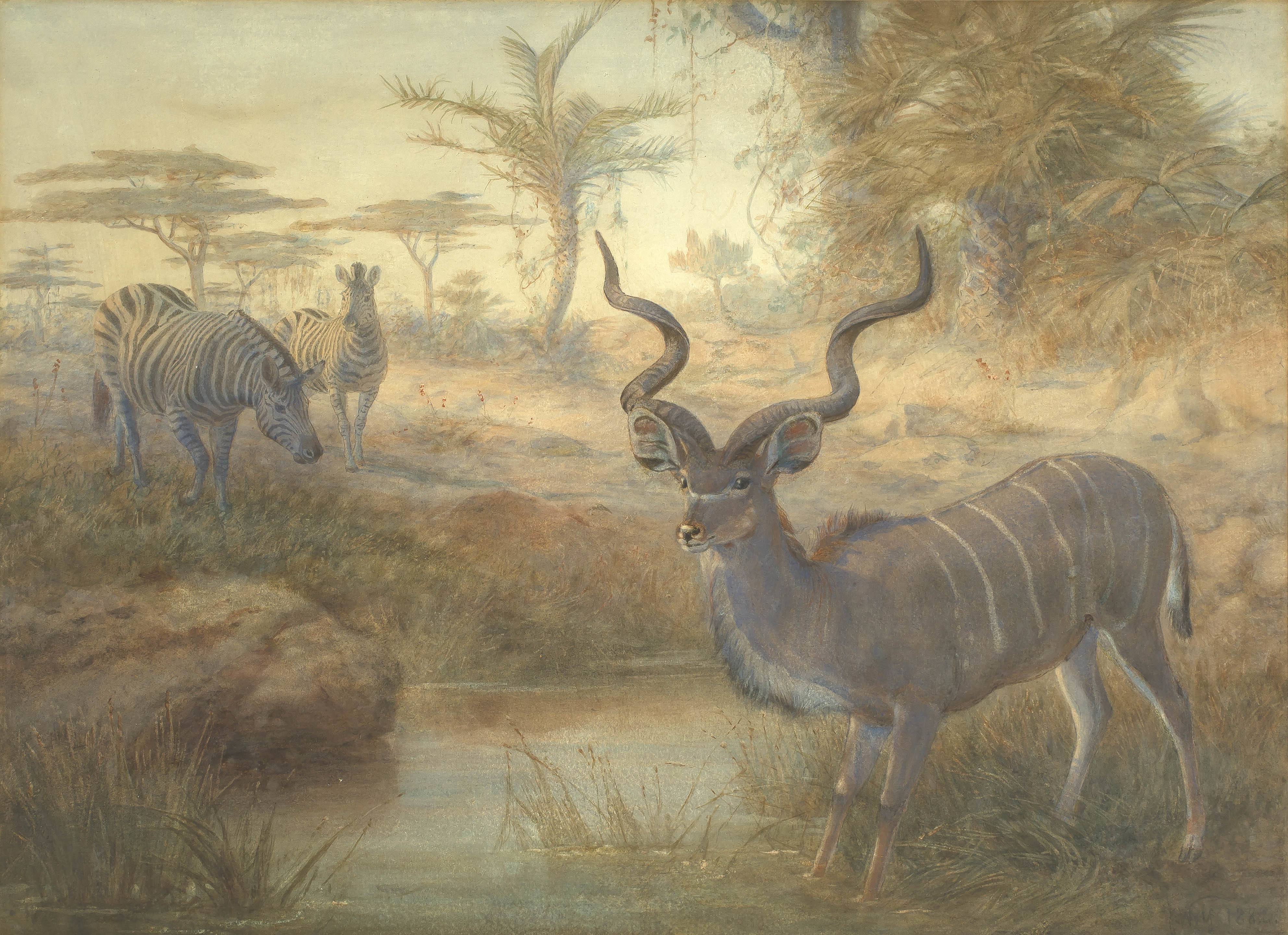 Joseph Wolf; The Greater Kudu and Zebra