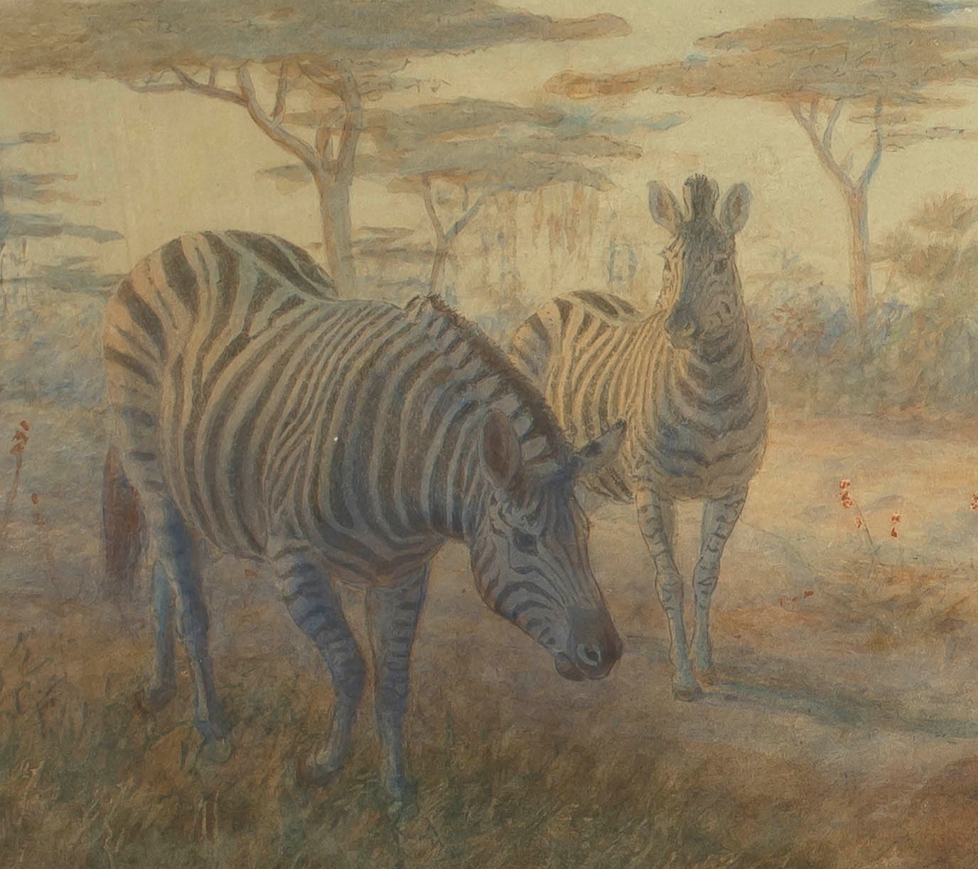 Joseph Wolf; The Greater Kudu and Zebra