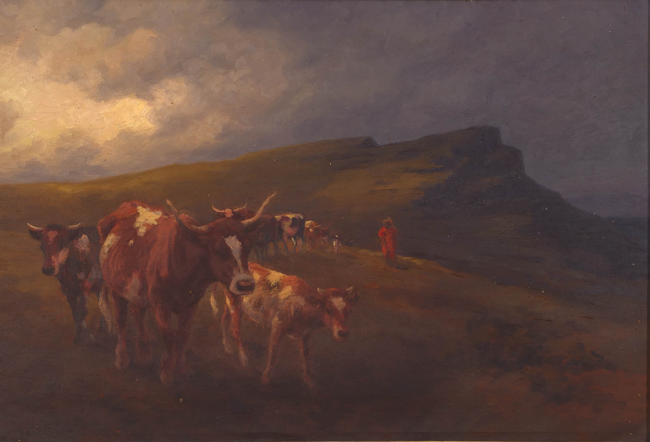 Allerley Glossop; Basuto Cattle and Herdsman