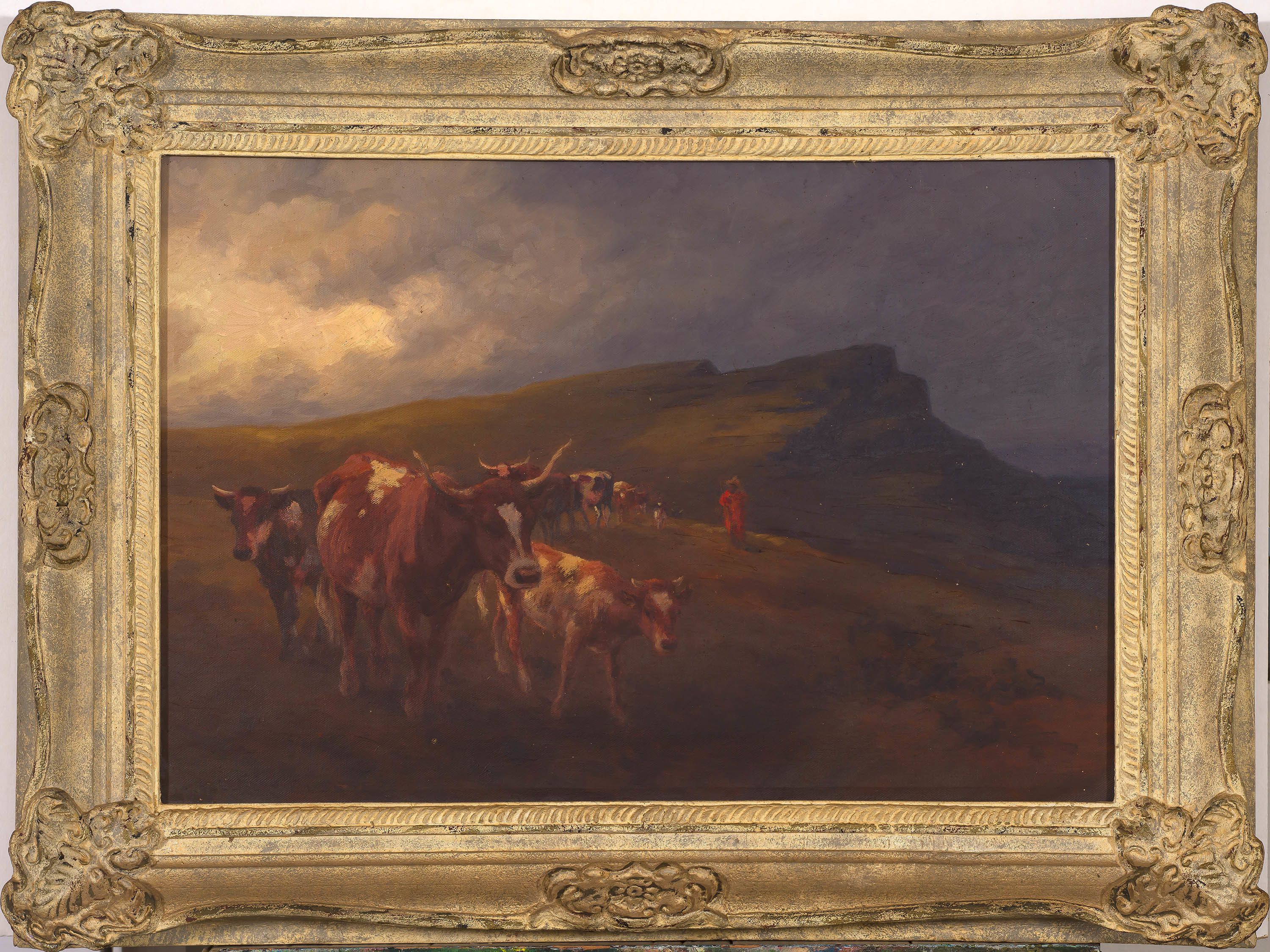 Allerley Glossop; Basuto Cattle and Herdsman