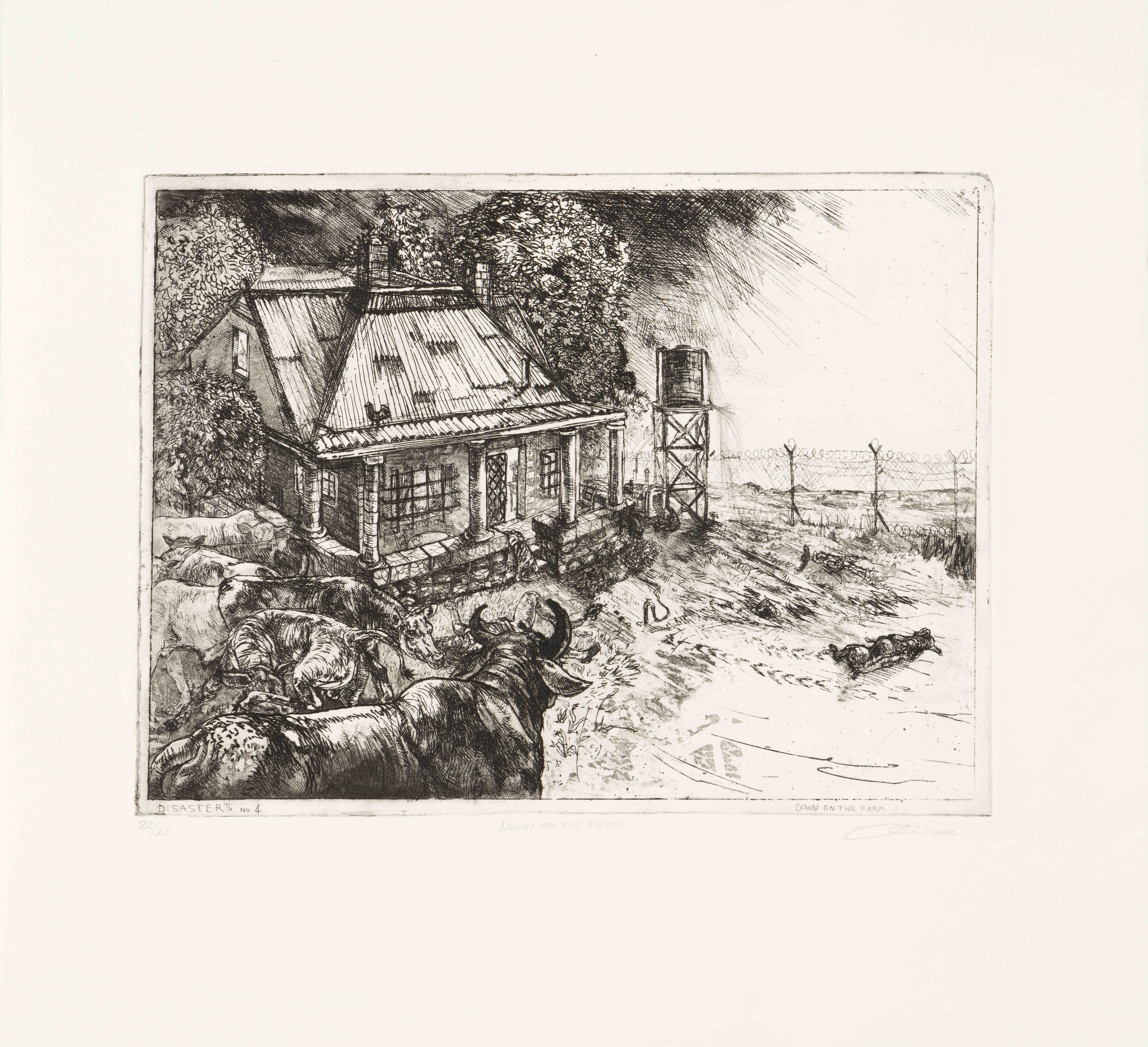 Disasters of Peace, portfolio by Diane Victor | Strauss & Co