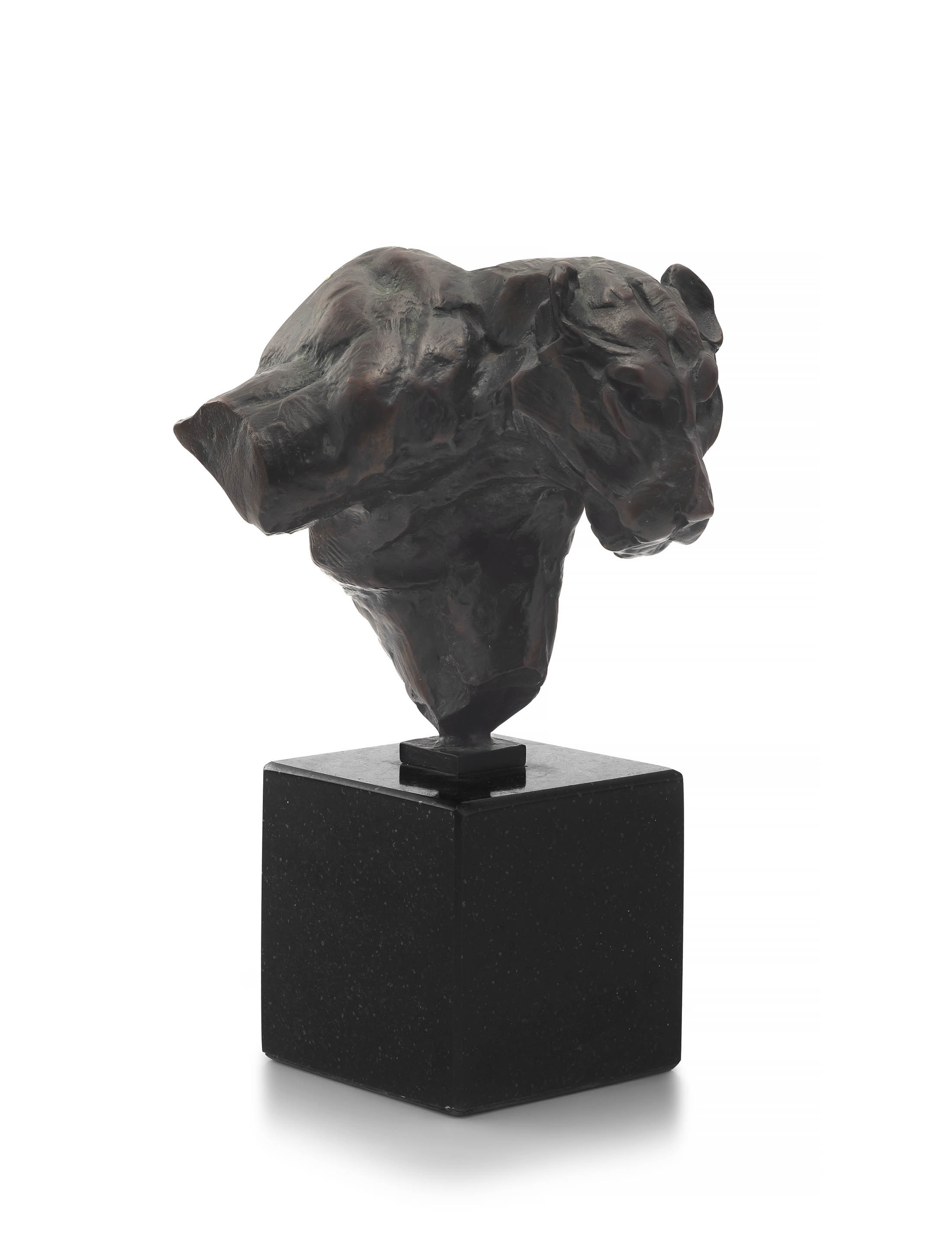 Dylan Lewis; S099 Leopard Bust Leaping maquette V