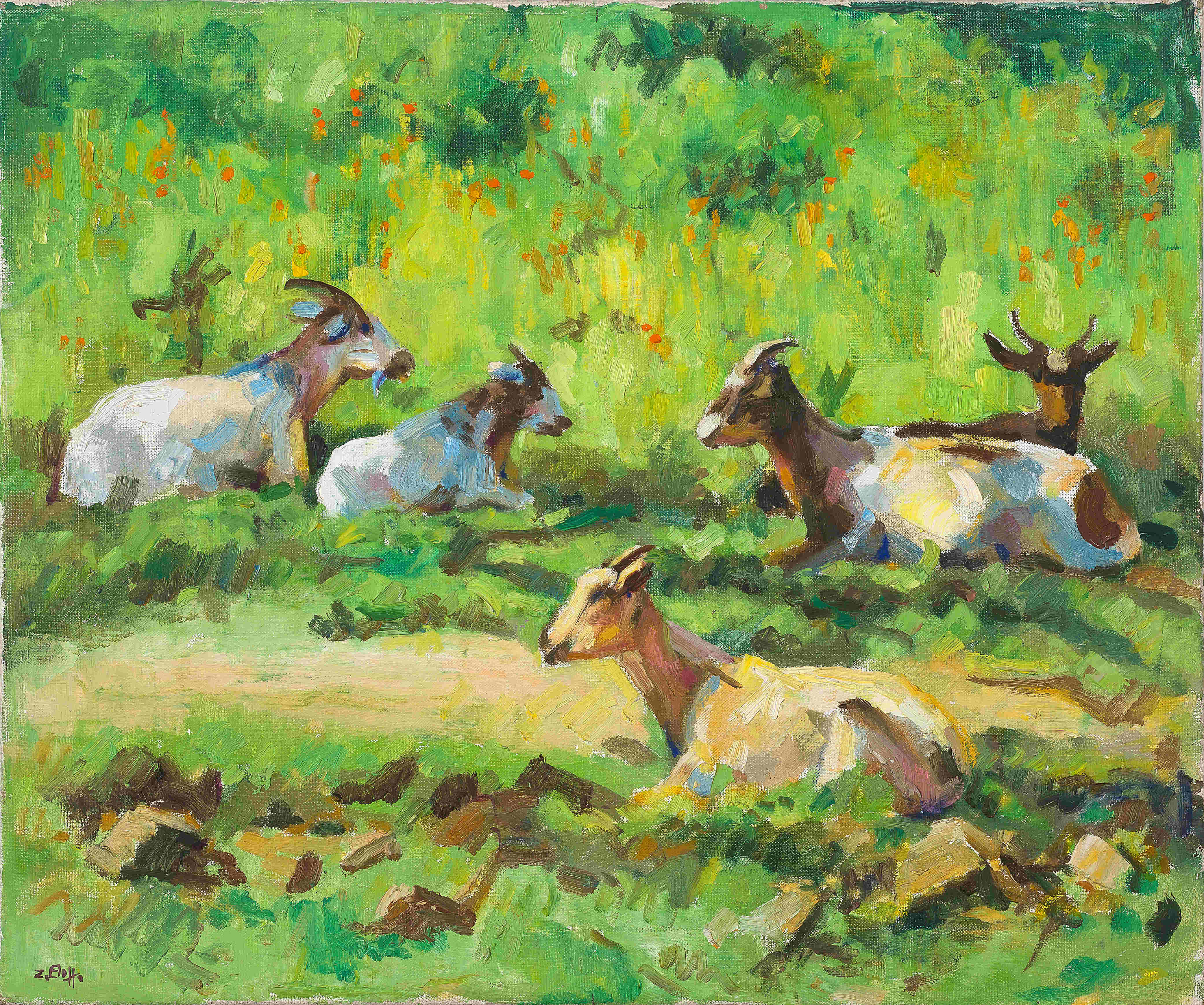 Zakkie Eloff; Goats, Transkei