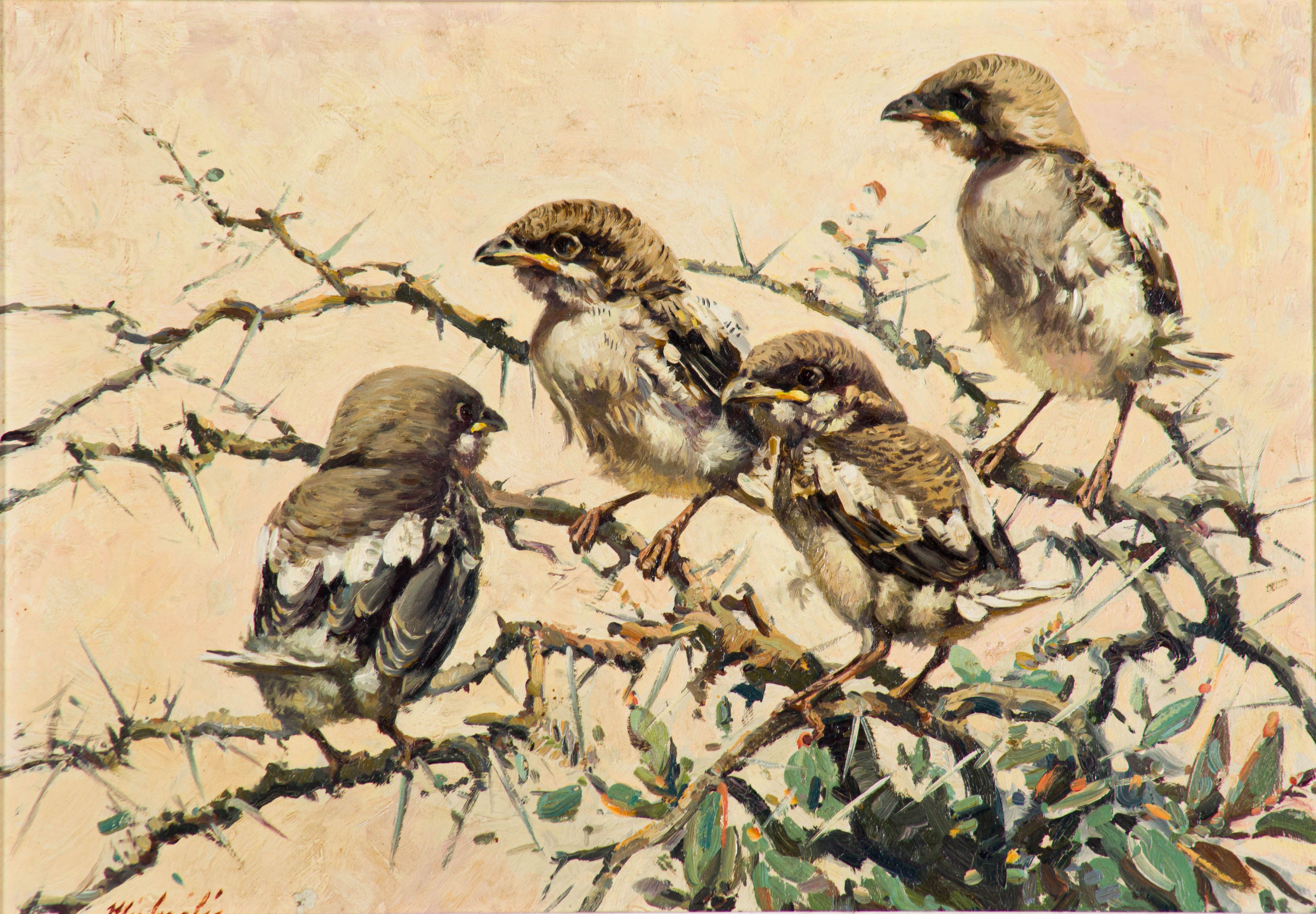 Heinrich von Michaelis; Sparrows