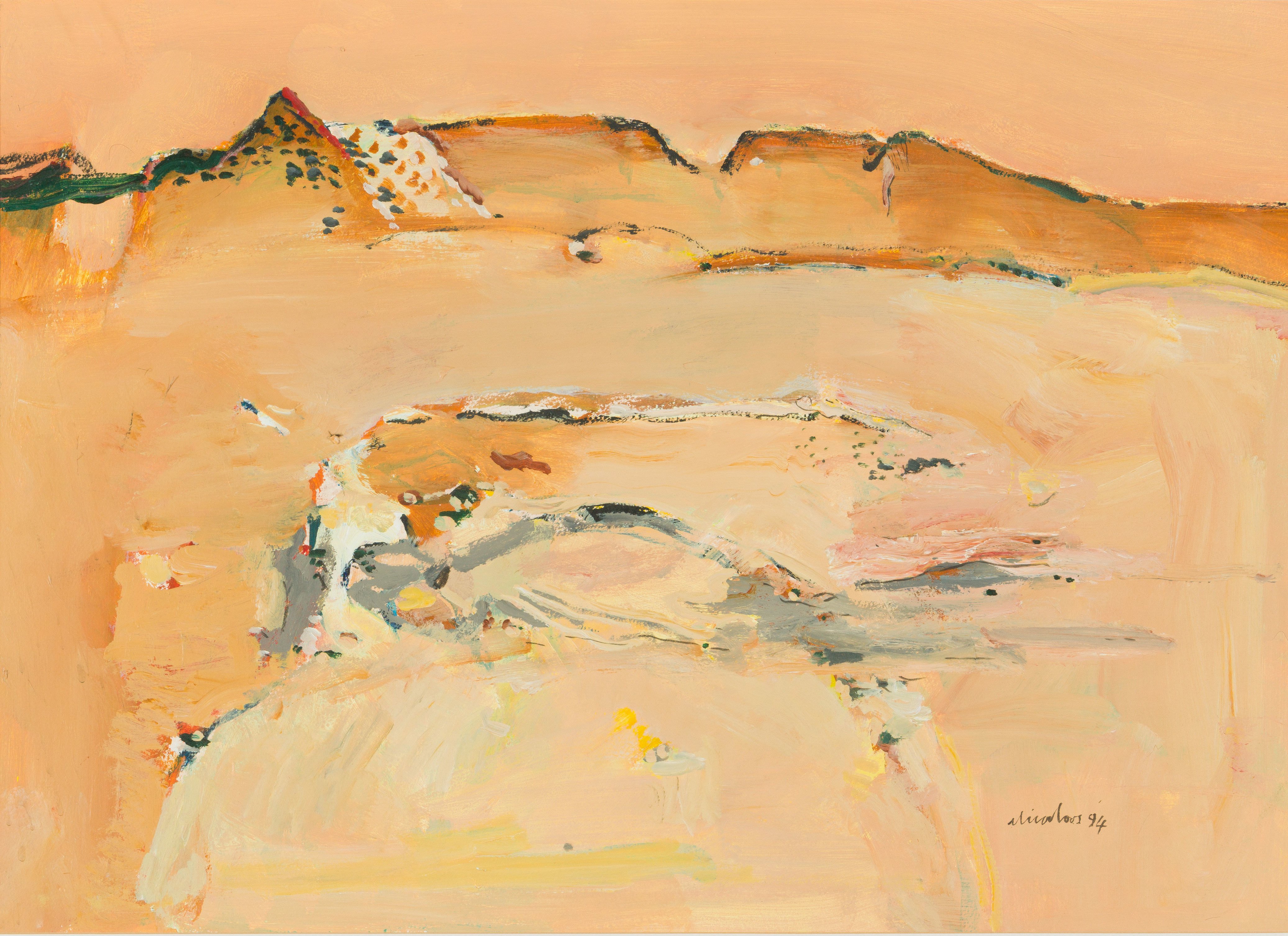 Nico Roos; Desert Landscape