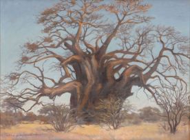 Erich Mayer; Baobab Tree