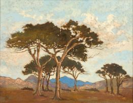 Nita Spilhaus; A Landscape with Trees