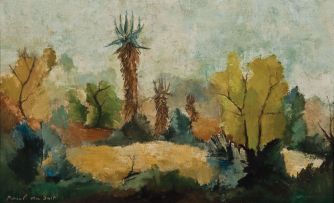 Paul du Toit; A Landscape with Aloes