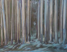 Waalko Dingemans Jnr; A Forest