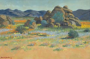 David Botha; Namaqualand Landscape