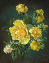 Cecil Kennedy; Yellow Roses