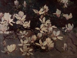 Frans Oerder; Magnolias