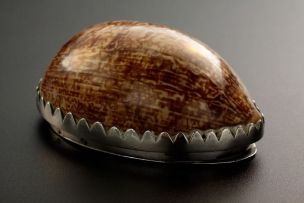 A Cape silver-mounted cowrie shell snuff box, Johannes Hendricus (Jan) Beyleveld, early 19th century