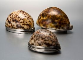 A William IV silver-mounted cowrie shell snuff box, possibly Peter Carter, London, 1832