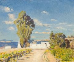 Frans Oerder; A Cape Wine Farm