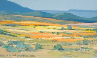 Piet van Heerden; An Extensive Namaqualand Landscape