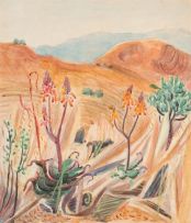Edith King; Flowering Aloes in Winter Veld