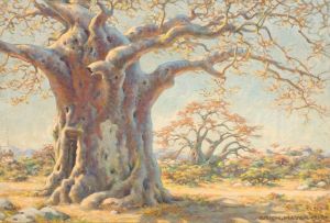 Erich Mayer; The Old Baobab Tree