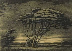 Jacob Hendrik Pierneef; Doringboom