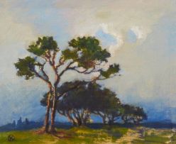 Nita Spilhaus; Landscape with Trees