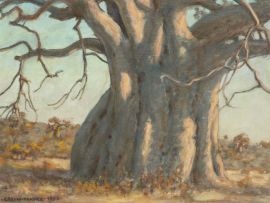 Erich Mayer; Baobab