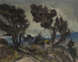 David Botha; Trees on Paarl Mountain