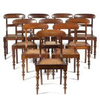 A set of ten Cape Regency style stinkwood dining chairs, late 19th century