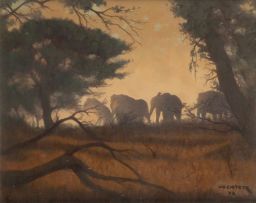 Willem Hermanus Coetzer; Elephants in a Forest