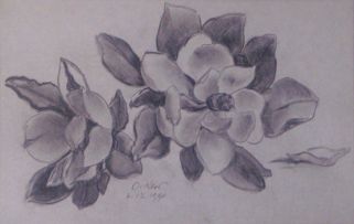 Otto Klar; A Study of Magnolias