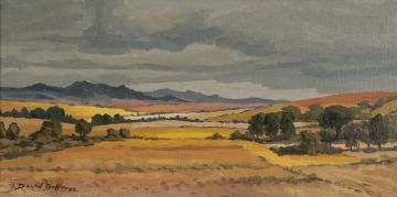 David Botha; An Extensive Landscape
