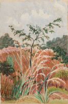 Edith King; A Young Tree in Pink Grass