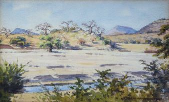 Erich Mayer; A Landscape with Baobabs and a River