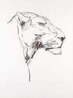 Dylan Lewis; Lioness Head