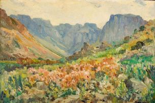 Hugo Naudé; A Mountain Landscape